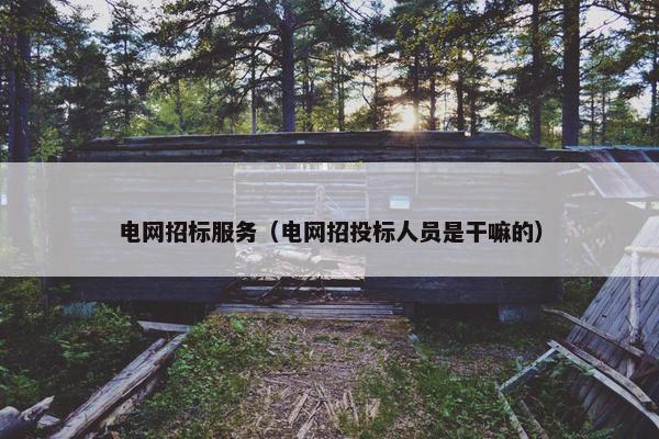 电网招标服务（电网招投标人员是干嘛的）