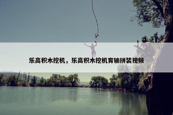 乐高积木挖机，乐高积木挖机育输拼装视频