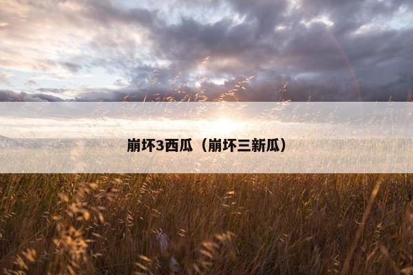 崩坏3西瓜（崩坏三新瓜）