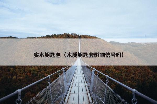 实木钥匙包（木质钥匙套影响信号吗）