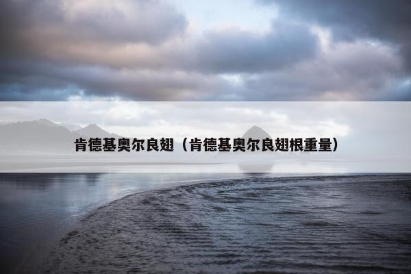 肯德基奥尔良翅（肯德基奥尔良翅根重量）
