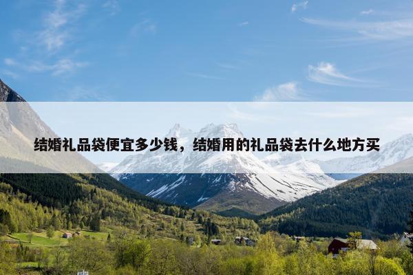 结婚礼品袋便宜多少钱，结婚用的礼品袋去什么地方买