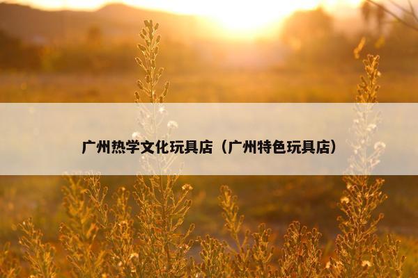 广州热学文化玩具店（广州特色玩具店）