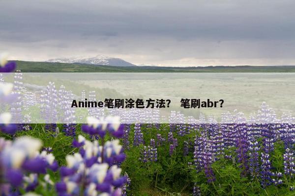 Anime笔刷涂色方法？ 笔刷abr？