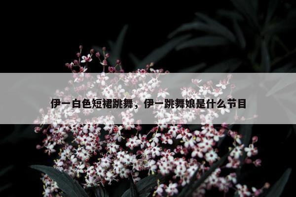 伊一白色短裙跳舞，伊一跳舞娘是什么节目