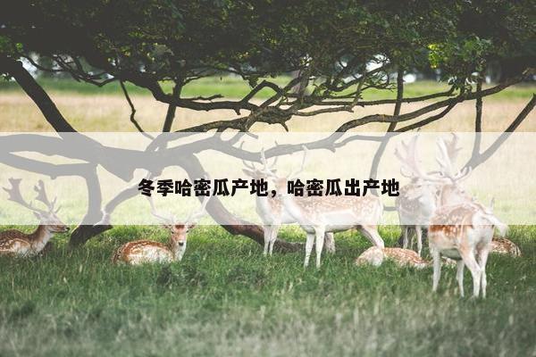 冬季哈密瓜产地，哈密瓜出产地