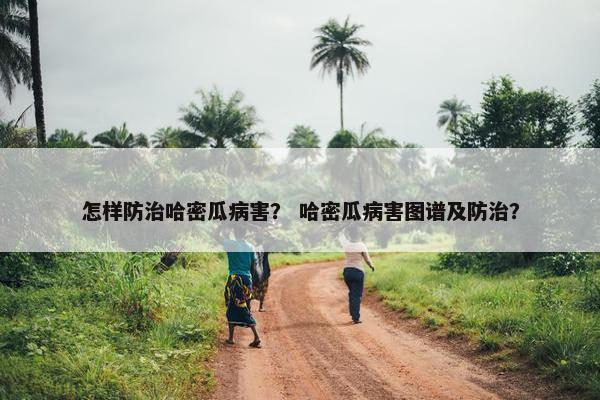 怎样防治哈密瓜病害？ 哈密瓜病害图谱及防治？