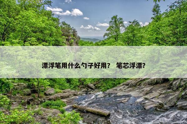 漂浮笔用什么勺子好用？ 笔芯浮漂？
