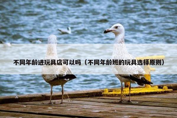 不同年龄进玩具店可以吗（不同年龄班的玩具选择原则）