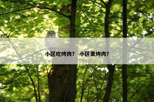 小区吃烤肉？ 小区里烤肉？