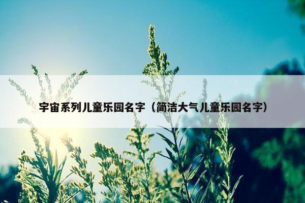 宇宙系列儿童乐园名字（简洁大气儿童乐园名字）