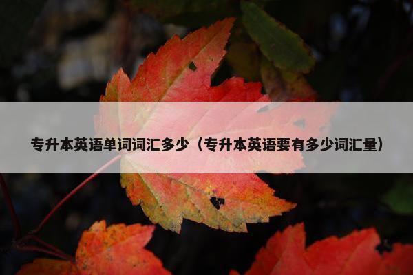 专升本英语单词词汇多少（专升本英语要有多少词汇量）