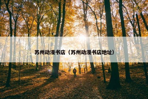 苏州动漫书店（苏州动漫书店地址）
