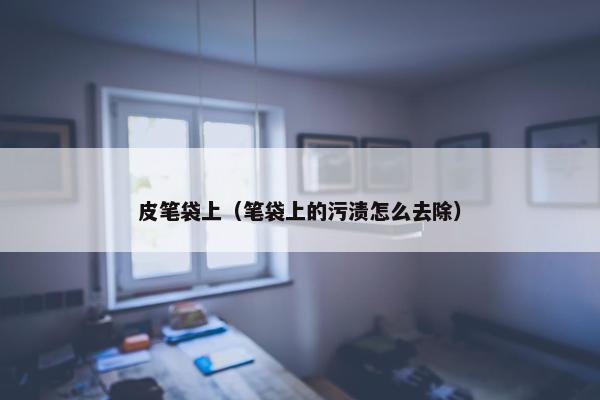 皮笔袋上（笔袋上的污渍怎么去除）