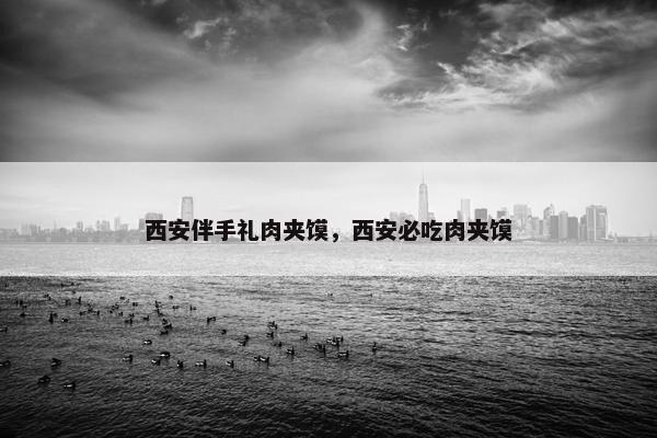 西安伴手礼肉夹馍，西安必吃肉夹馍