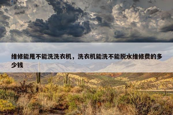 维修能甩不能洗洗衣机，洗衣机能洗不能脱水维修费的多少钱