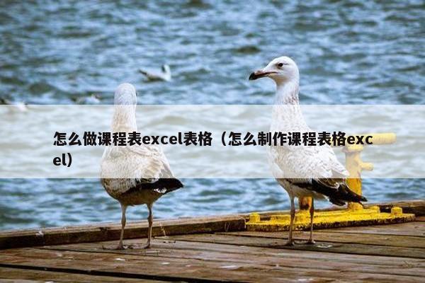 怎么做课程表excel表格（怎么制作课程表格excel）