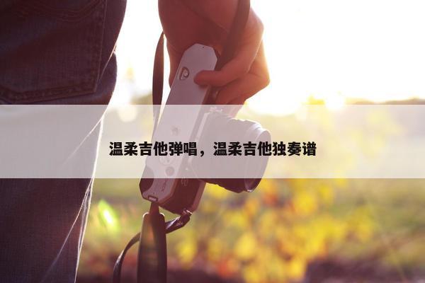 温柔吉他弹唱，温柔吉他独奏谱