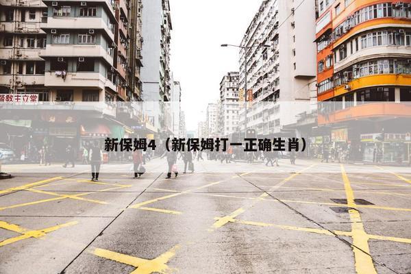 新保姆4（新保姆打一正确生肖）