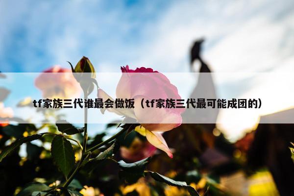 tf家族三代谁最会做饭（tf家族三代最可能成团的）