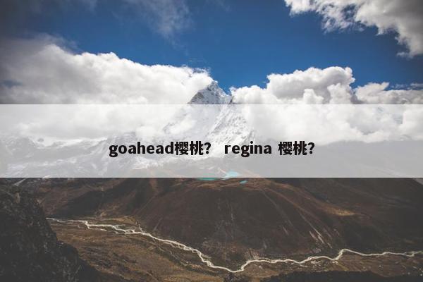 goahead樱桃？ regina 樱桃？