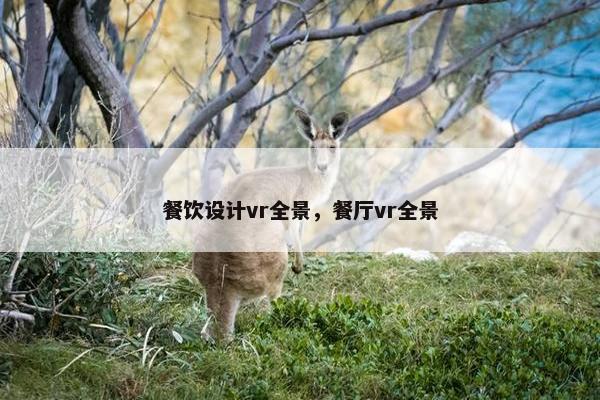 餐饮设计vr全景，餐厅vr全景