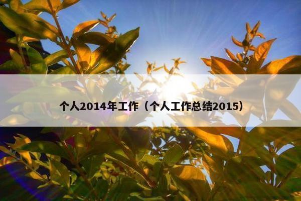 个人2014年工作（个人工作总结2015）