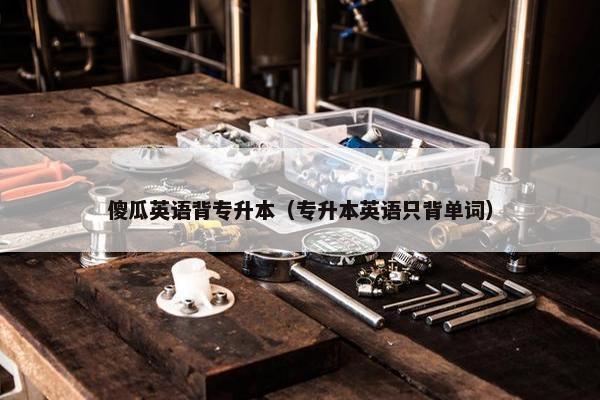 傻瓜英语背专升本（专升本英语只背单词）
