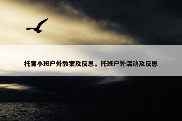 托育小班户外教案及反思，托班户外活动及反思