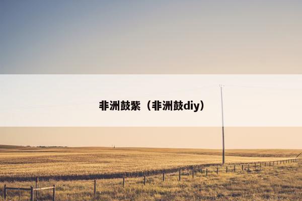非洲鼓紫（非洲鼓diy）
