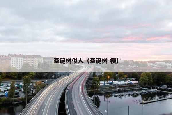 圣诞树似人（圣诞树 梗）