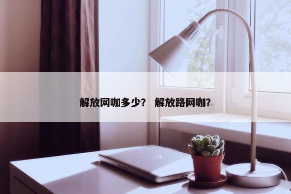 解放网咖多少？ 解放路网咖？