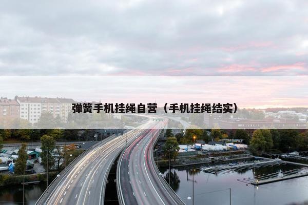 弹簧手机挂绳自营（手机挂绳结实）