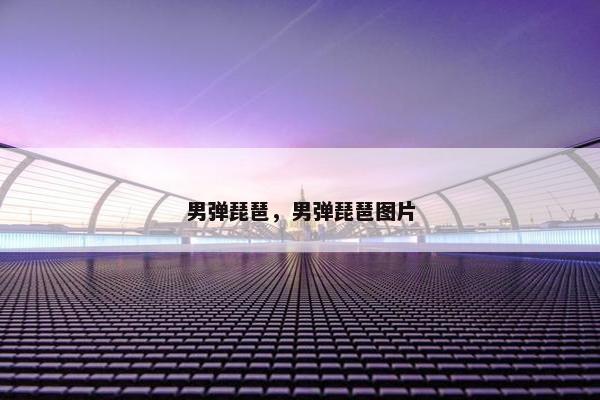 男弹琵琶，男弹琵琶图片