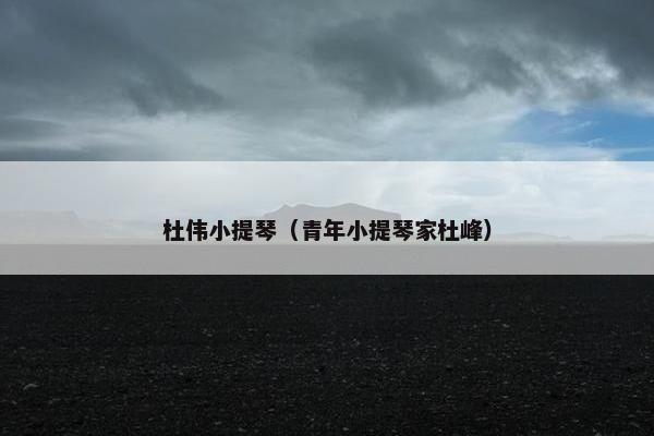 杜伟小提琴（青年小提琴家杜峰）
