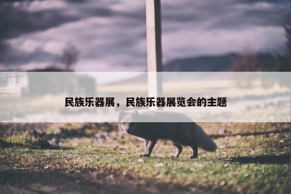 民族乐器展，民族乐器展览会的主题