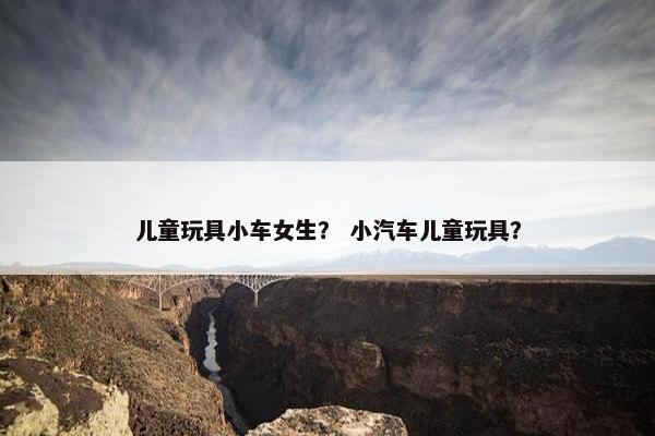 儿童玩具小车女生？ 小汽车儿童玩具？