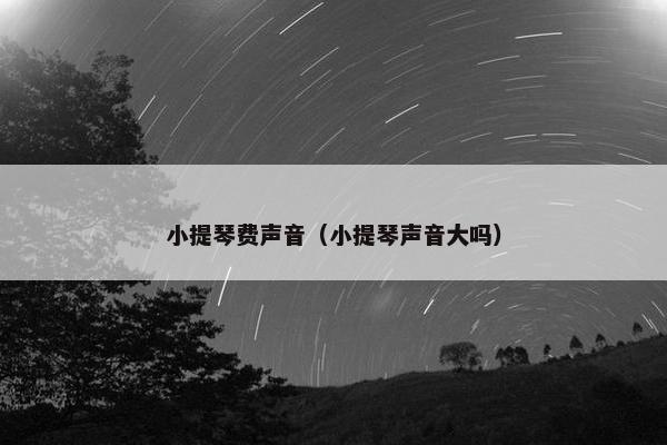 小提琴费声音（小提琴声音大吗）