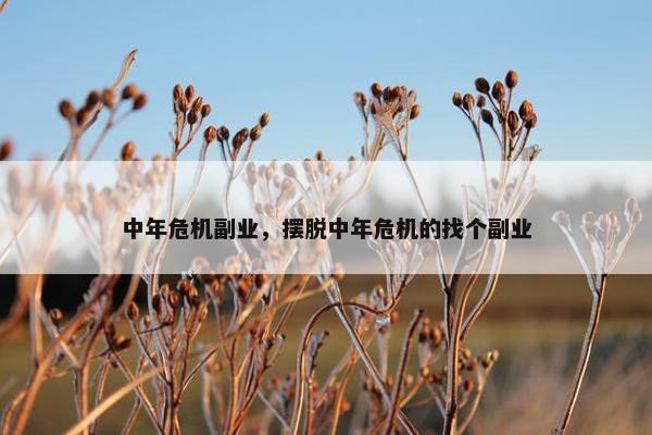 中年危机副业，摆脱中年危机的找个副业