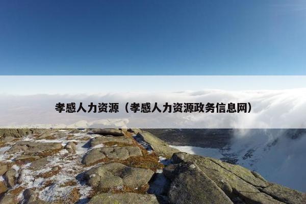 孝感人力资源（孝感人力资源政务信息网）