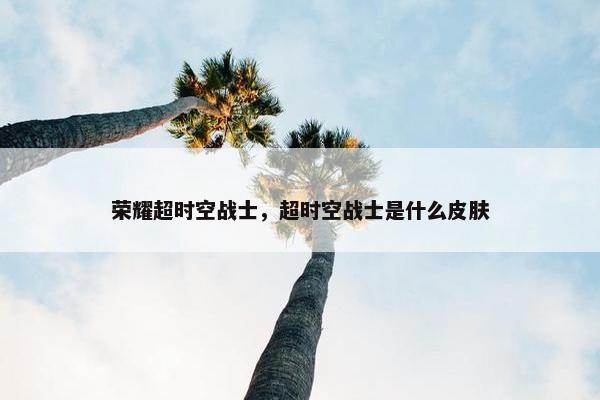 荣耀超时空战士，超时空战士是什么皮肤