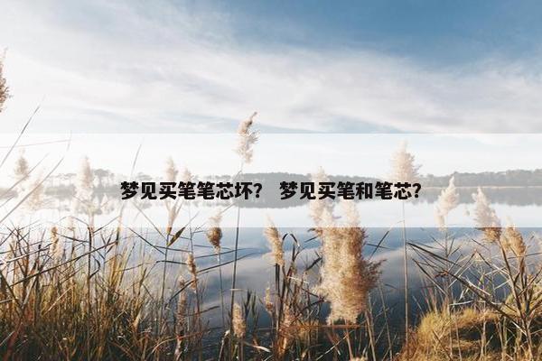 梦见买笔笔芯坏？ 梦见买笔和笔芯？