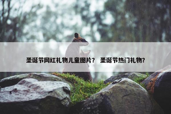 圣诞节网红礼物儿童图片？ 圣诞节热门礼物？
