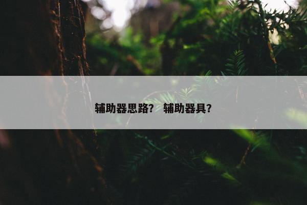 辅助器思路？ 辅助器具？