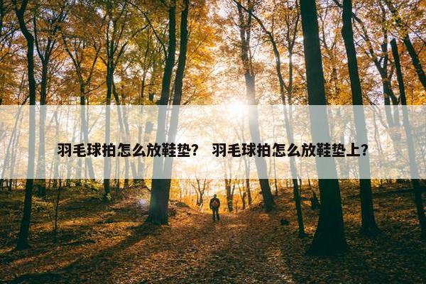 羽毛球拍怎么放鞋垫？ 羽毛球拍怎么放鞋垫上？