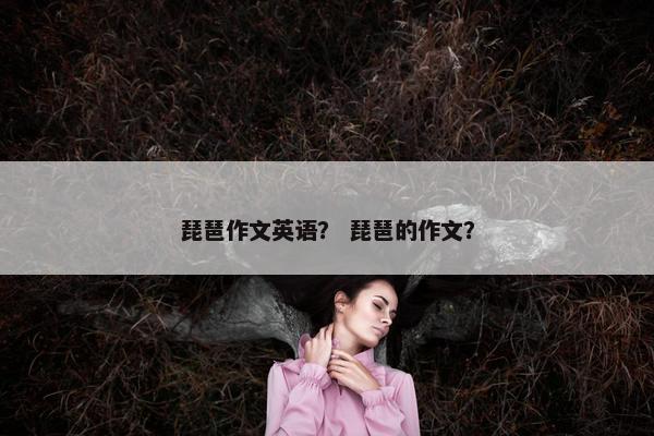 琵琶作文英语？ 琵琶的作文？