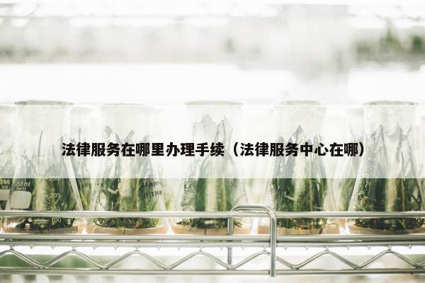 法律服务在哪里办理手续（法律服务中心在哪）