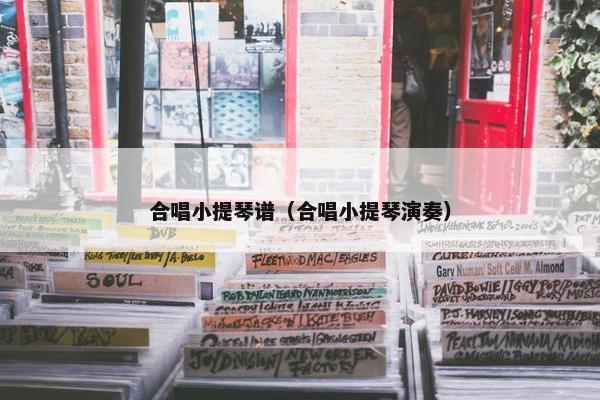 合唱小提琴谱（合唱小提琴演奏）