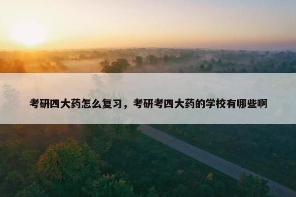考研四大药怎么复习，考研考四大药的学校有哪些啊