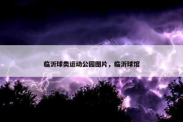 临沂球类运动公园图片，临沂球馆